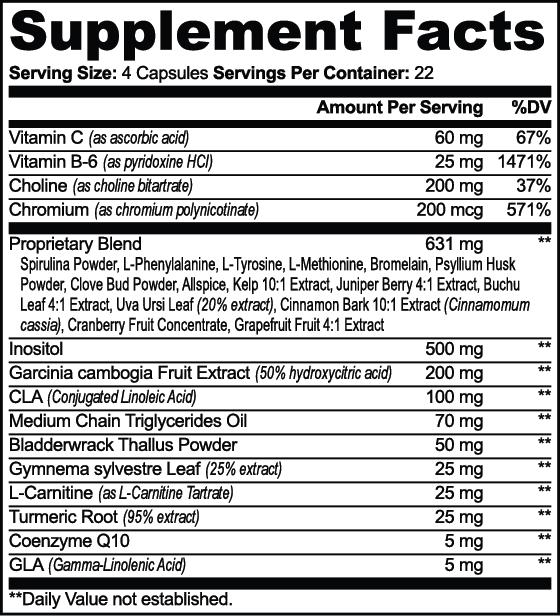 MCT Oil Capsules with L-Carnitine – Energy & Metabolism Support for Active Lifestyle – NutrixPro